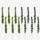 thumbnail image 3 of Planta artificial simulación de flores artificiales hoja de eucalipto decoración de boda para un solo hogar adorno arreglo floral (verde*30) ILoveMilan JM, 3 of 4