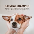 thumbnail image 3 of Sergeant's FUR SO FRESH Oatmeal Dog Shampoo, Milk & Honey, 18 oz, 3 of 5