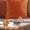 B, variant on Hand-Blown Glass Storage Jar with Lid - Airtight Pet Treat & Kitchen Canister, Food Grade Artisanal Dog-Themed Container for Snacks, Tea, Coffee