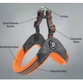 thumbnail image 2 of Stride. Dog Orange Step-In Adjustable Harness, 2 of 4