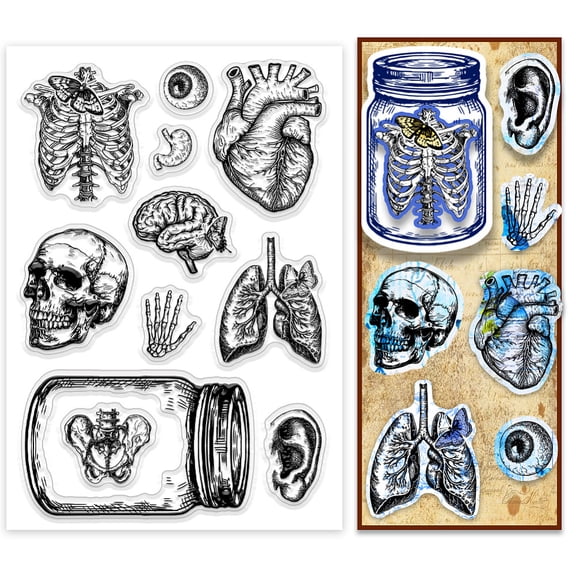 Clear Stamps Jar Organ Rubber Stamps Heart Eyeball Transparent Stamps Clear Scrapbooking Stamp for Helloween Card Making Decoration DIY Scrapbooking Album Diary Crafts