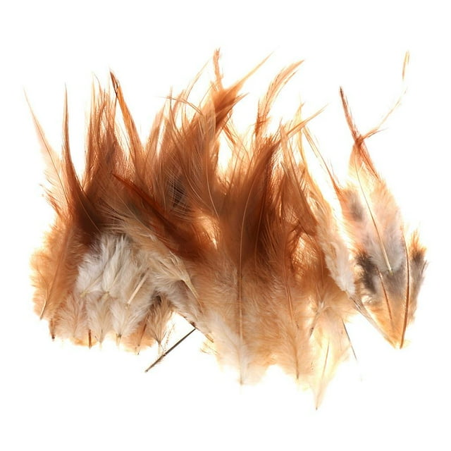 Rongfmy 50pcs Natural Cock Coque Saddle Feather 4-6 Inch for Hat DIY CRAFTS
