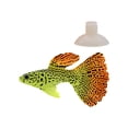 thumbnail image 2 of TISHITA Artificial Decorate, Aquarium Decor Small Animals, Moving Easy to Install C, 2 of 8