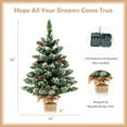 thumbnail image 3 of Costway 2 FT Pre-Lit Artificial Snowy Mini Christmas Tree w/ 50 LED Lights & 8 Modes, 3 of 10