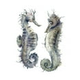 thumbnail image 2 of Shefranov, Olga 15x18 White Modern Wood Framed Museum Art Print Titled - Seahorse Pair, 2 of 4