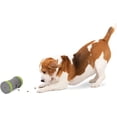 thumbnail image 1 of PetSafe Kibble Chase Juguete interactivo para perros - Comed PetSafe PetSafe, 1 of 2