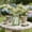 Green MG, variant on AuroraX Clear Glass Vase for Flowers Elegant Glass Vase Centerpiece Modern Cylinder Tall Minimalist Clear Vase for Home Decor Gold