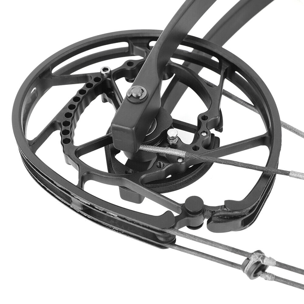 Archery Compound Bow 35-70lbs 17" Arrows Steel Ball Catapult Hunting Fishing