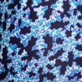 thumbnail image 4 of Jockey Men's Active Microfiber 5" Boxer Brief, 4 of 4