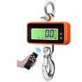 thumbnail image 1 of 1500Kg/3306Lbs Electronic Industrial Crane Ladder, Heavy Duty Hanging Fishing Ladder with Remote Control, Digital LCD Screen, 1 of 5