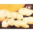 thumbnail image 3 of Roseboom, Jettie 18x15 Black Modern Framed Museum Art Print Titled - Yellow Poppies II, 3 of 5