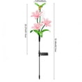 thumbnail image 3 of Luces de ambiente para jardín con energía solar y fibra óptica LED: lámparas decorativas con forma de lirio y colibrí para céspedes, patios y espacios exteriores., 3 of 6