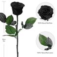 thumbnail image 3 of Ramo de rosas preservadas Yamonic de flores artificiales, 30 cm, 3 of 7