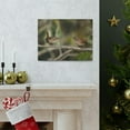 thumbnail image 6 of Funny Wren Silly Wren Scene Couple Wall Art Ready to Hang Unframed, 6 of 18
