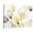 Canvas, variant on Art.com Neutral Abstract Floral II Art Print by Lanie Loreth, 16" x 12"