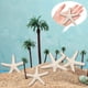 thumbnail image 4 of 15 Piezas De Color Cremoso Lápiz Estrellas Mar Para Decoración Bodas, Del Hogar y Proyectos, 4 of 9