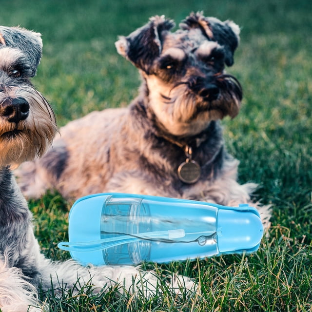 WRITWAA Lot de 1 Gobelet pour Animaux de Compagnie Distributeur d'Eau Portable pour Chien Bleu Rentrée des Classes