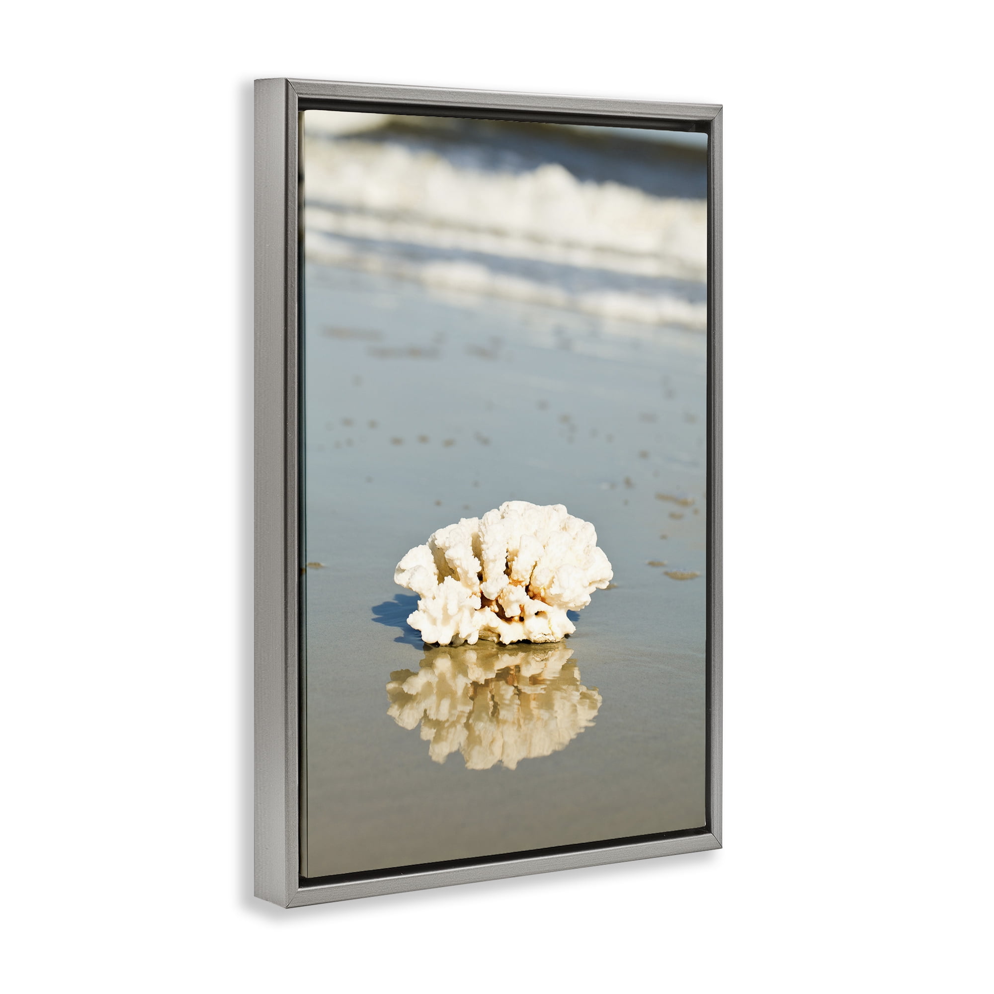Stupell Industries Coral on Sea Shore Coastal Photography Gray Floater Framed Canvas Art Print Wall Art, 17 x 25