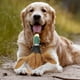 thumbnail image 3 of EeaseMX Juguetes de peluche con forma de pato para perros pequeños (marrón), 3 of 7