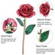 thumbnail image 3 of Long Stem Dipped 24k Gold Rose in Gift Box with Stand (Pink Rose with Stand), 3 of 3