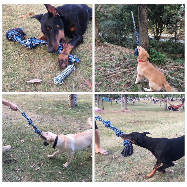 Cuerda de juguete para perros con forma de palo de resorte, cuerda para perros con forma de palo de resorte, juguete para tirar de la cuerda para perros, cuerda de ejercicio para m