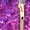 A1-Purple, variant on Mardi Gras Jacket Clearance, Women's Carnival Long Sleeve Sequin Long Sleeve Cardigan Jacket Top, Mardi Gras Sequin Jacket, Mardi Gras Tops for Women Camouflage