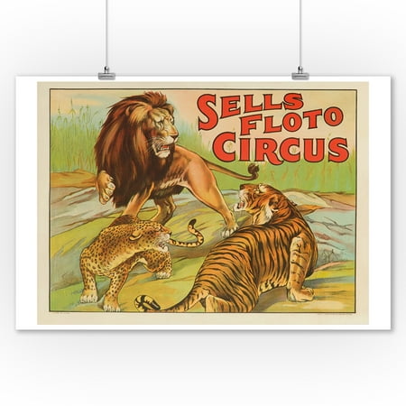 Sells Floto Circus (3 big cats) Vintage Poster USA (9x12 Art Print, Wall Decor Travel