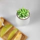 thumbnail image 4 of Advancent Maceta de moda para plantas suculentas, maceta para flores, junto a la cama, jardinería, flores, patio, suministro para plantar, Jardín y Patio Rosado, 4 of 6