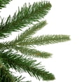 thumbnail image 4 of Northlight Real Touch™️ Washington Frasier Fir Artificial Christmas Wreath - 48" - Unlit, 4 of 7