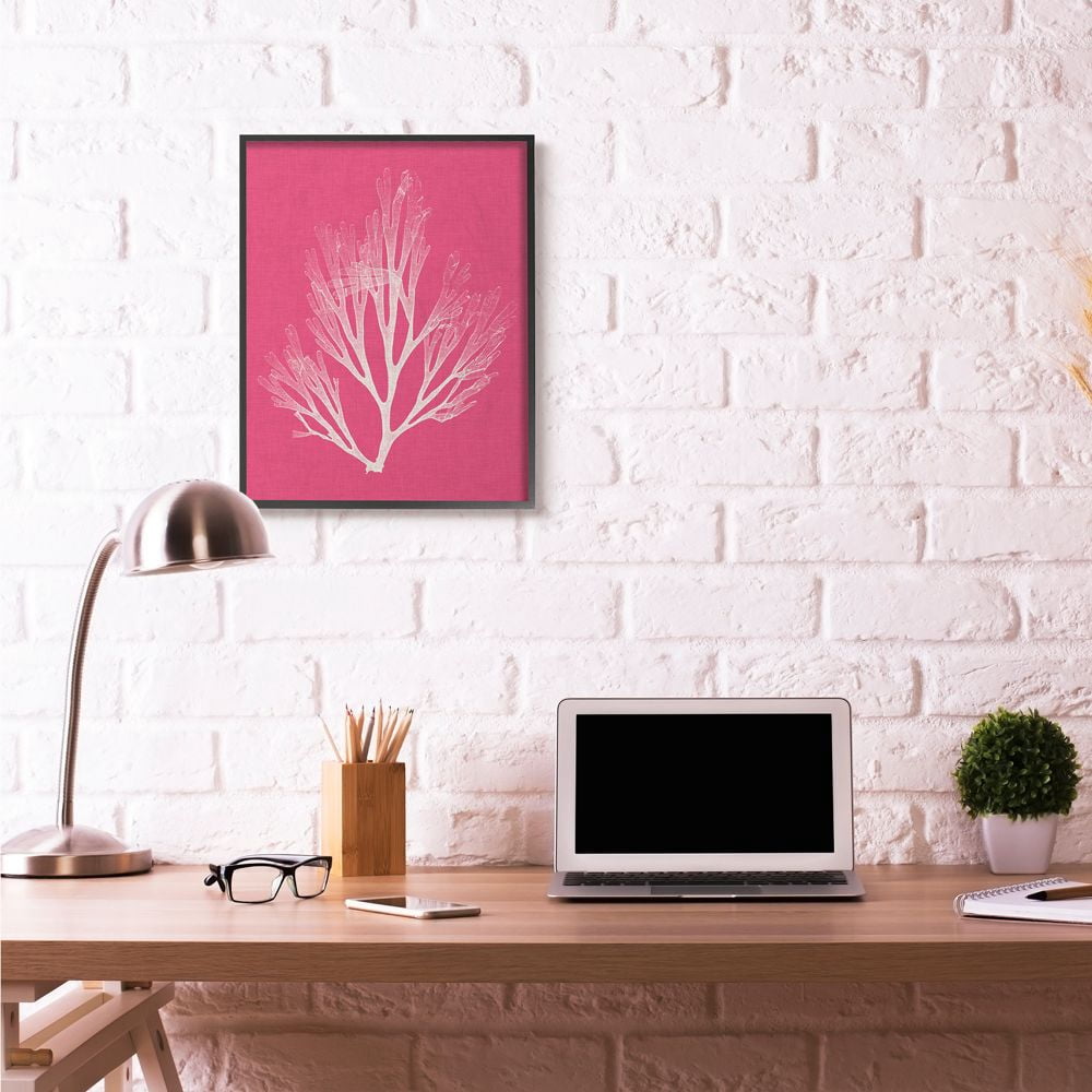 Stupell Industries Coral Seaweed Magenta White Beach Design Framed Wall Art by Vision Studio