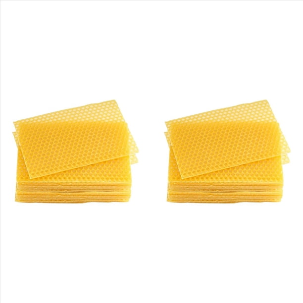 Hojas de de Abejas 60 Piezas Hojas de Base de de Abejas Base de para Marcos de Abejas Hojas de Panal Natural Hojas de de Abejas