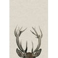 thumbnail image 2 of The Antler Painting Print on Wrapped Canvas, 2 of 7