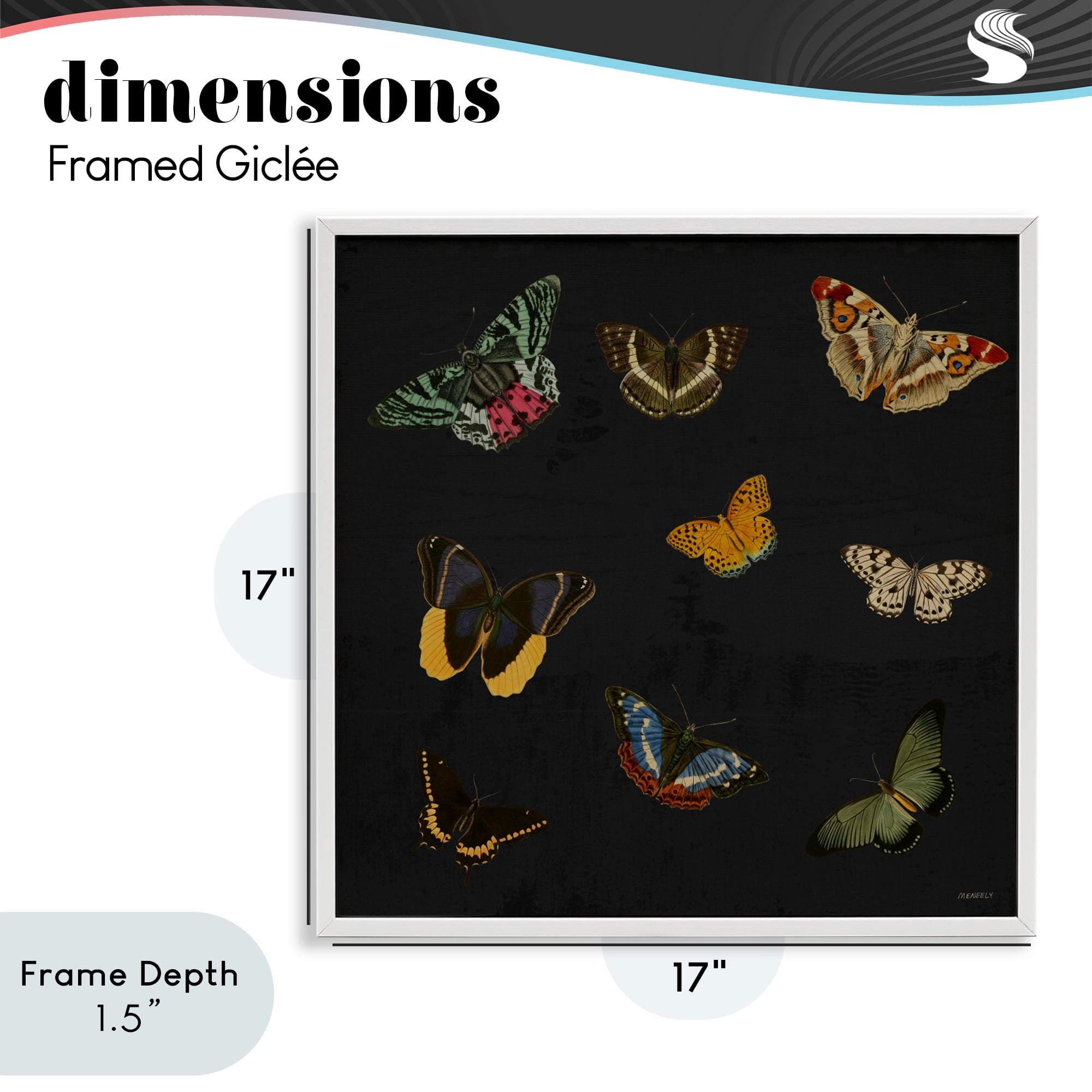 Stupell Industries Butterfly & Moth Collection White Framed Giclee Art, design by Dan Meneely