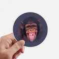 thumbnail image 1 of Orangutans Laugh Human Hair Sticker Round Wall Suitcase Laptop Label Bumper, 1 of 1