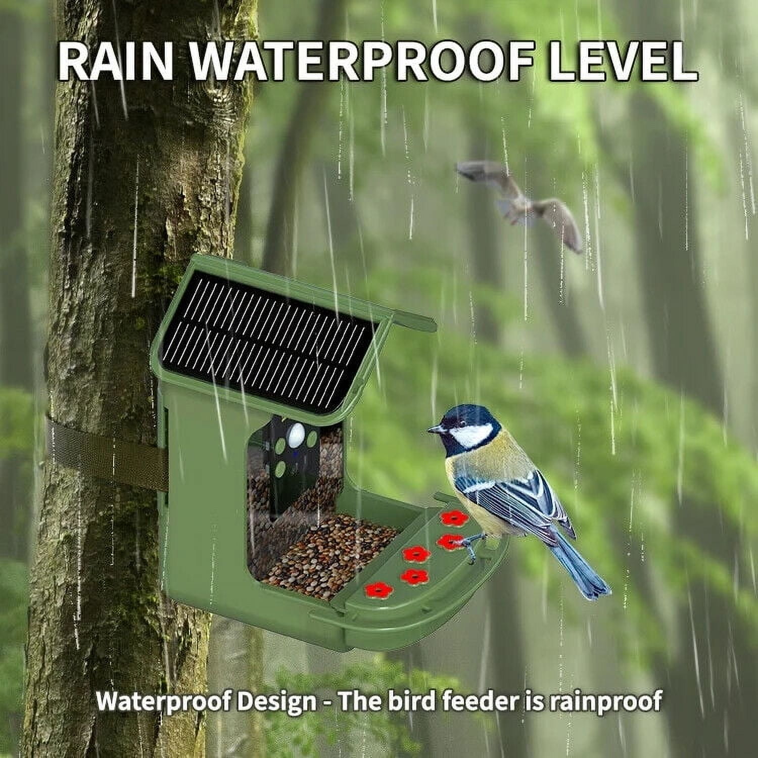 Dash ES-50W Smart Solar Bird Feeder with 1080p FHD Camera, Green