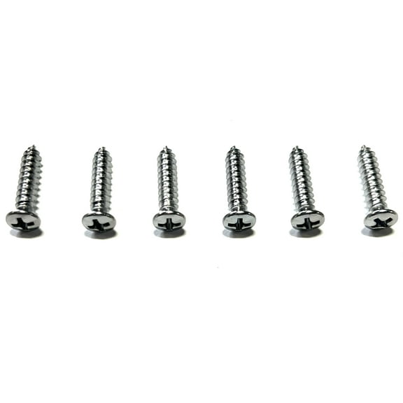 TheStopShop 1982-1992 Chrome Sunvisor Support Screw Set-6 Pieces