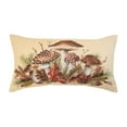 thumbnail image 2 of Donna Sharp Pine Circle UCC 2PC Pillow Set, 2 of 4
