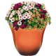 thumbnail image 3 of Classic Home and Garden Honeysuckle Resin Flower Pot Planter, Tequila Sunrise, 15", 3 of 4