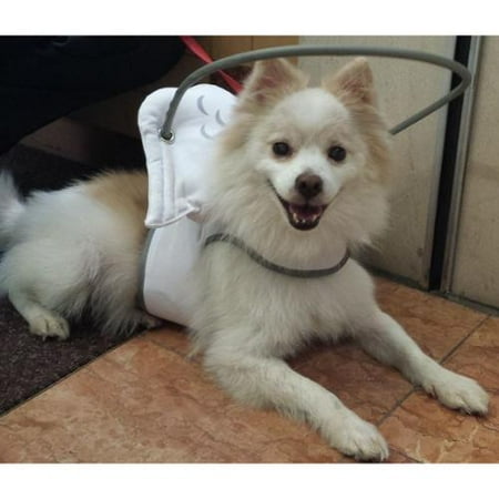 Dog House Blind - Muffin's Halo Guide for Blind Dogs, Medium - Blind Dog