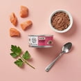 thumbnail image 5 of (12 pack) Special Kitty Salmon Dinner Pate Wet Cat Food, 5.5 oz Can, 5 of 11