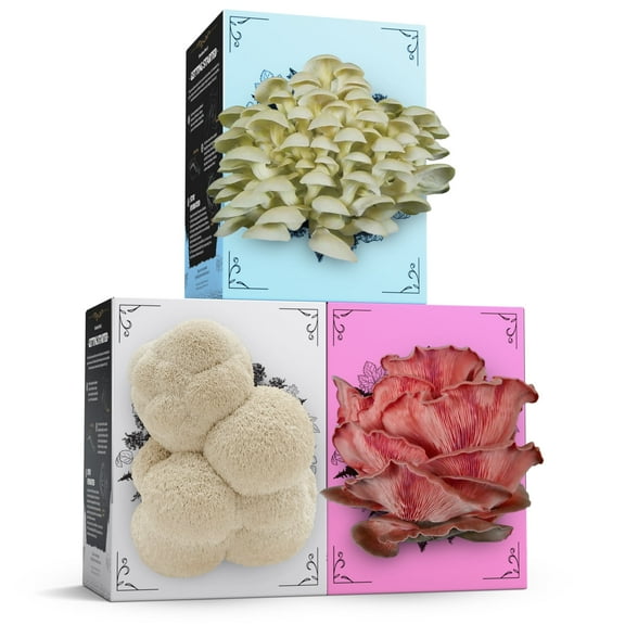 3-Pack of Organic Mushroom Grow Kits