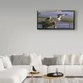 thumbnail image 3 of Trademark Fine Art 'Chesapeake Treasurers Osprey' Canvas Art by Wilhelm Goebel, 3 of 3