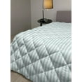 thumbnail image 2 of Aqua Down Alternative Comforter, Diagonal Parallel Lines in Different Directions Retro Modern Style Geometrical, Microfiber Quilt for All Season, 5 Sizes, Mint Green White, by Ambesonne, 2 of 3