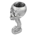 thumbnail image 4 of Macetero con forma de calavera, conjunto de soporte para columna vertebral, innovador, exquisito, decorativo, pintado a mano, esqueleto de resina, maceta para el hogar y el jardín, color plateado, 4 of 5