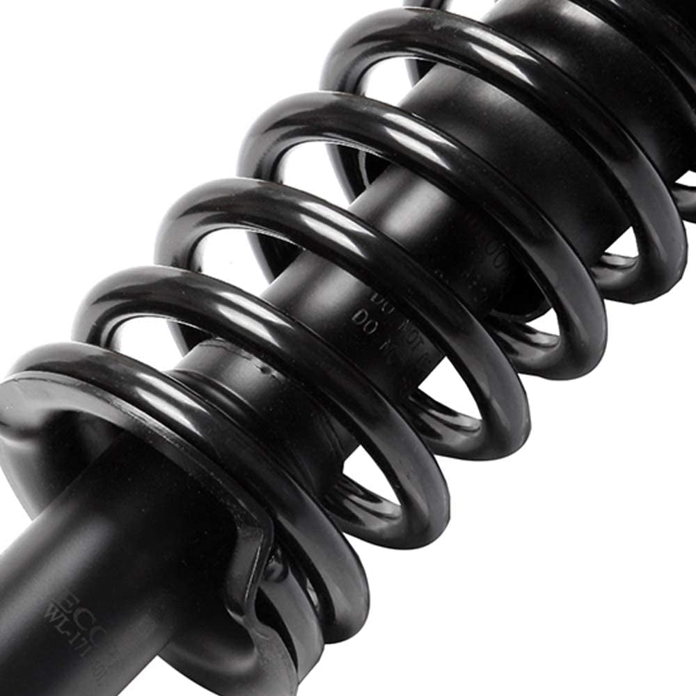 ECCPP For 2001-2005 Honda Civic Complete Struts Shocks & Coil Springs Assembly Rear x2
