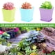 thumbnail image 3 of Yous Auto Paquete de 24 Macetas Plant de Plástico Cuadradas Multicolores de 3 Pulgadas, Contenedor de Macetero para Trasplante de Vivero de Plántulas para Interiores y Exteriores para Decoración de Balcón de Oficina Garden, 3 of 7