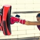 thumbnail image 5 of Almohadilla Curva Para Patadas De Boxeo Muay Thai, Escudo De Abrenamiento Para Golpear Los Pies Y Las Manos, Almohadillas Para Patadas De Objetivo De Boxeo, 5 of 7