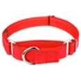 thumbnail image 5 of Country Brook Petz - Vibrant 8 Color Selection - Reflective Nylon Martingale Dog Collar, 5 of 7