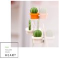 thumbnail image 4 of 6 pegatinas para nevera, cactus, pegatinas para nevera, planta verde, hebilla magnética, pegatinas magnéticas, decoración del hogar WD.WDQZL Hogar, 4 of 5