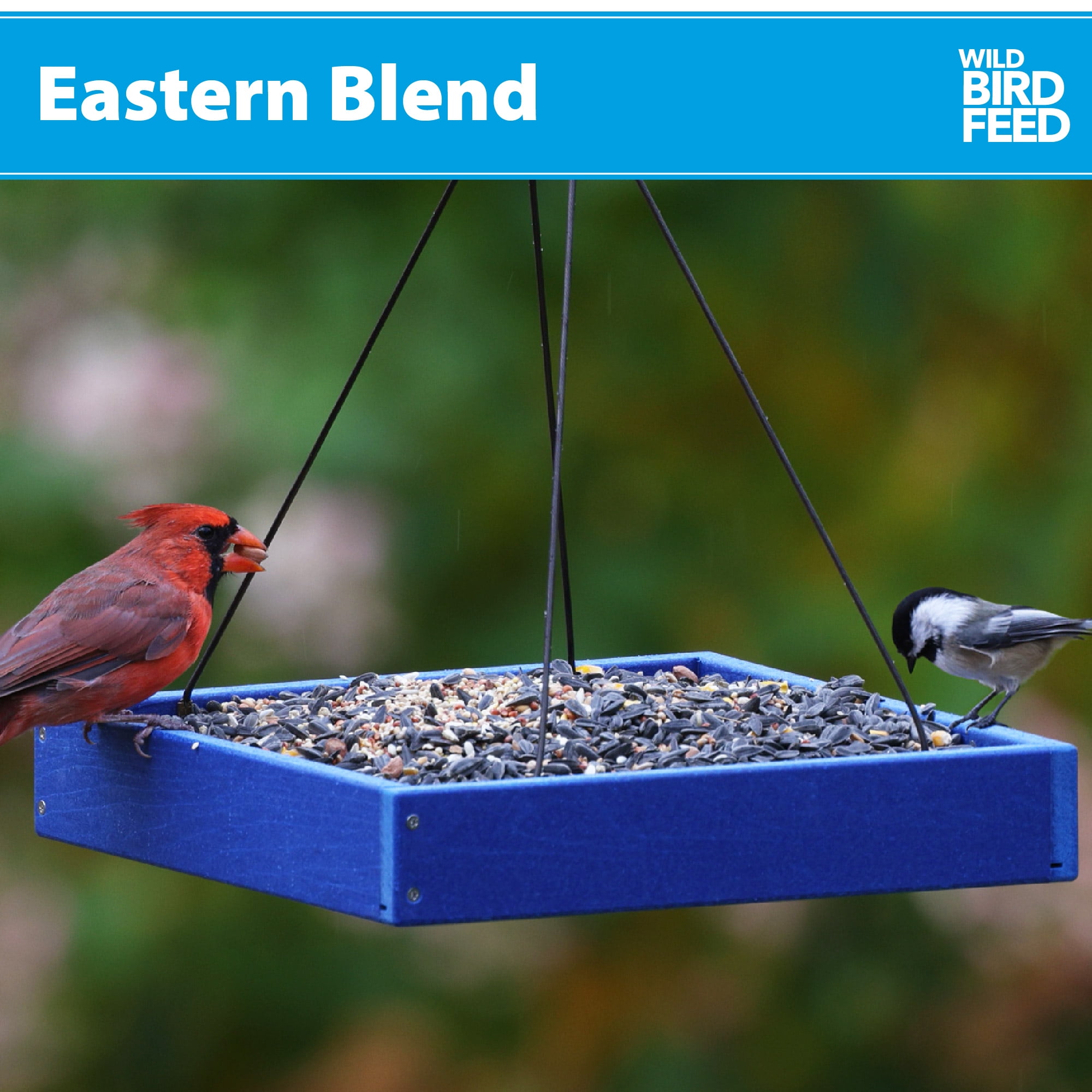 (3 pack) Eastern Regional Blend Wild Bird Food, Dry, 1 Count per Pack, 5 lb. Bag